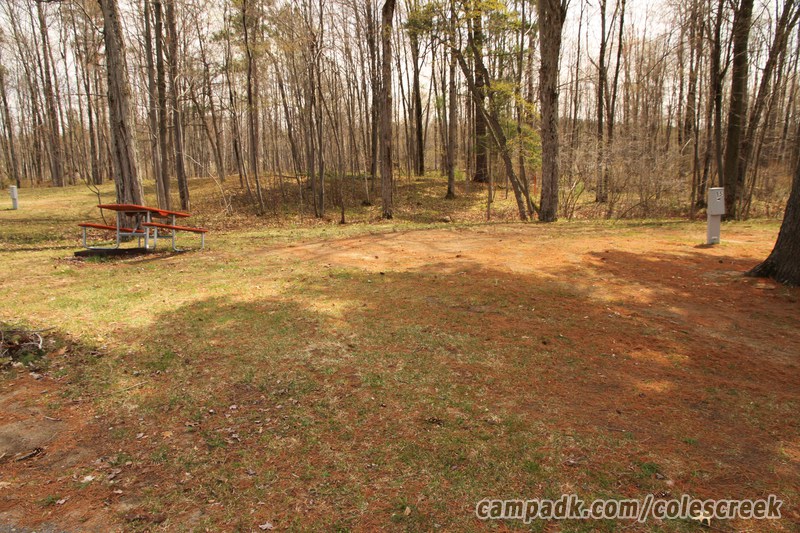 Campsite Photo of Site 15 at Coles Creek State Park, New York - Looking at Site from Road Sign Visible