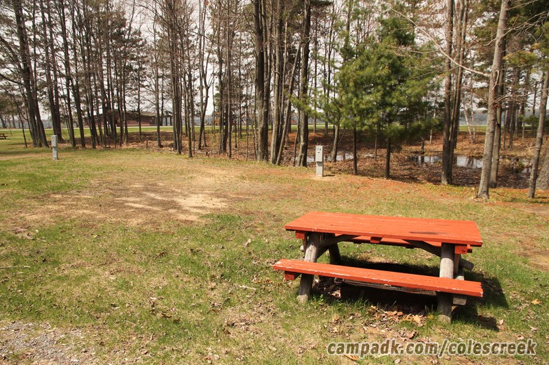 Campsite Photo of Site 118 at Coles Creek State Park, New York - Looking at Site from Road Sign Visible