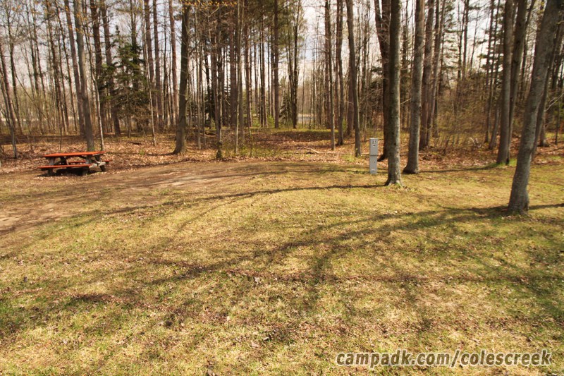 Campsite Photo of Site 25 at Coles Creek State Park, New York - Looking at Site from Road Sign Visible