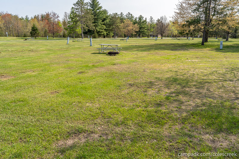 Campsite Photo of Site 113 at Coles Creek State Park, New York - Looking at Site from Road Sign Visible