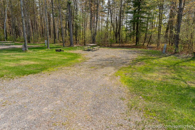 Campsite Photo of Site 245 at Coles Creek State Park, New York - Looking at Site from Road Sign Visible