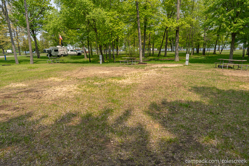 Campsite Photo of Site 6 at Coles Creek State Park, New York - Looking at Site from Road Sign Visible
