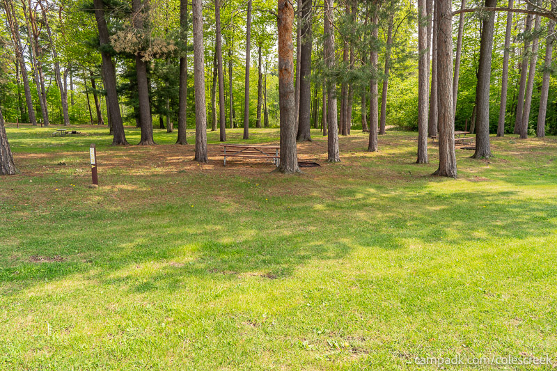 Campsite Photo of Site 235 at Coles Creek State Park, New York - Looking at Site from Road Sign Visible