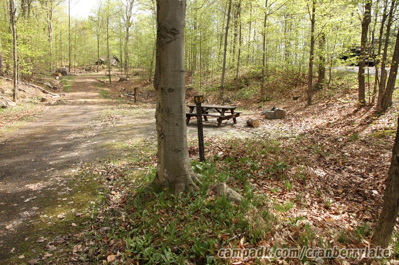 Campsite Photo of Site 15 at Cranberry Lake Campground, New York - Looking at Site from Road Sign Visible
