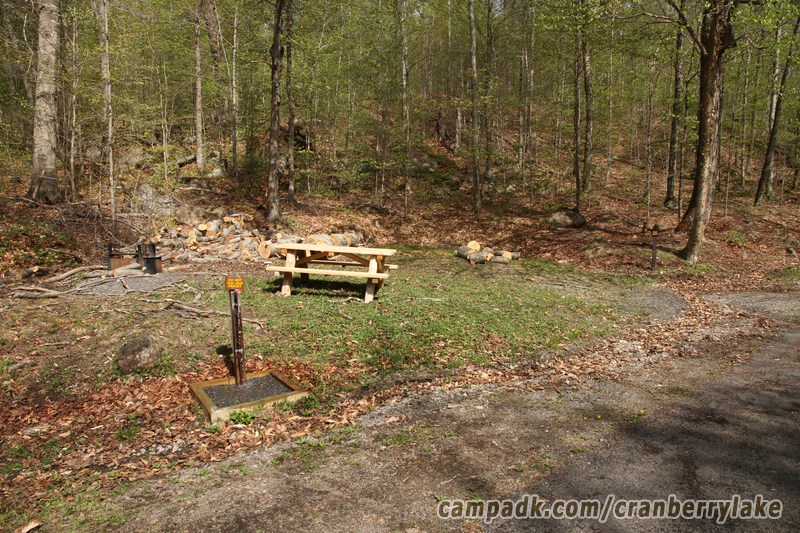 Campsite Photo of Site 25 at Cranberry Lake Campground, New York - Looking at Site from Road Sign Visible