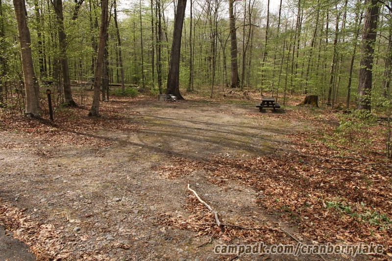 Campsite Photo of Site 30 at Cranberry Lake Campground, New York - Looking at Site from Road Sign Visible