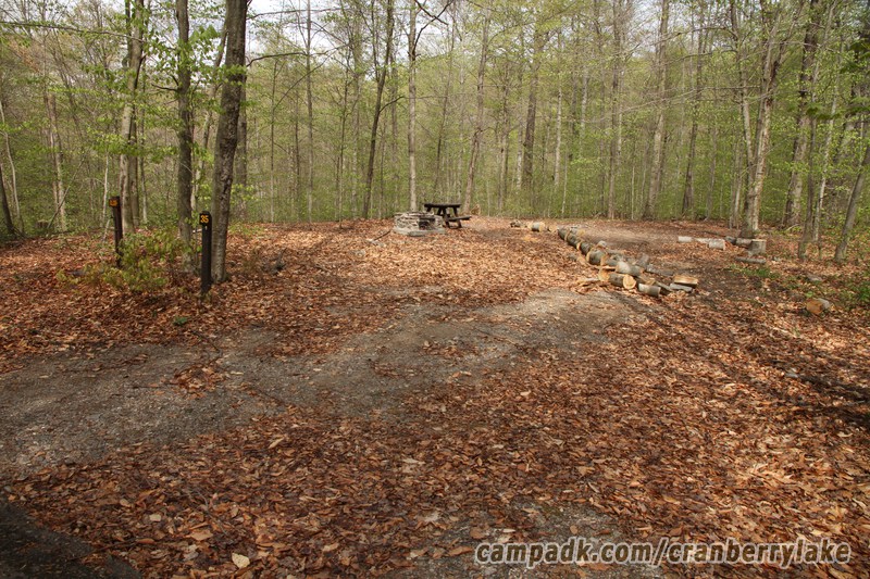 Campsite Photo of Site 35 at Cranberry Lake Campground, New York - Looking at Site from Road Sign Visible
