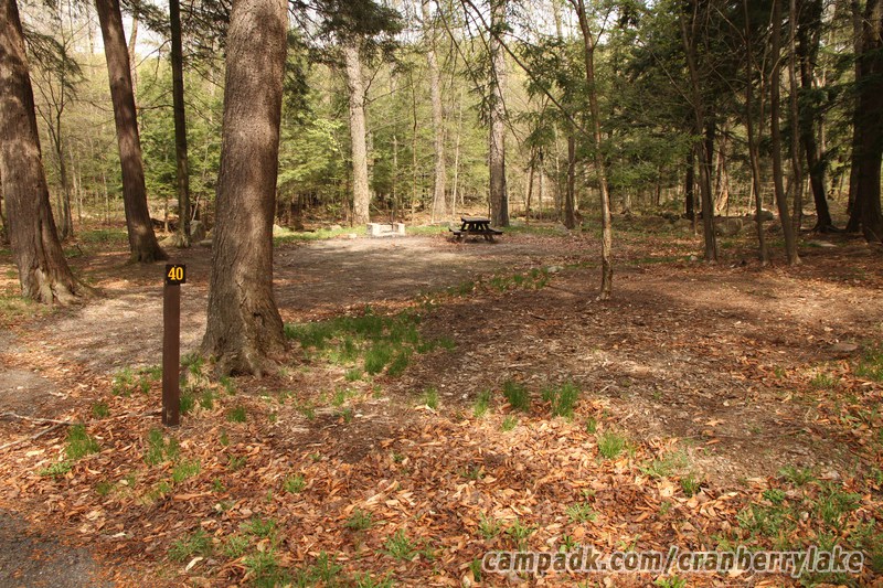 Campsite Photo of Site 40 at Cranberry Lake Campground, New York - Looking at Site from Road Sign Visible