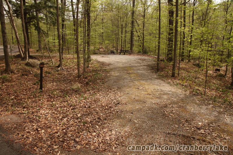Campsite Photo of Site 50 at Cranberry Lake Campground, New York - Looking at Site from Road Sign Visible