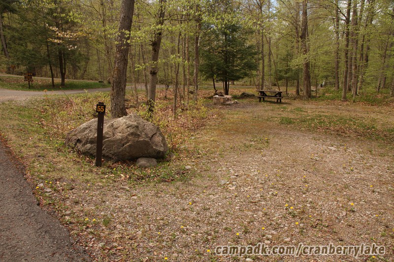 Campsite Photo of Site 55 at Cranberry Lake Campground, New York - Looking at Site from Road Sign Visible