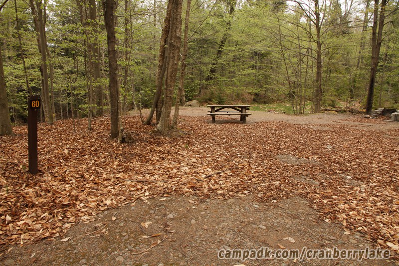 Campsite Photo of Site 60 at Cranberry Lake Campground, New York - Looking at Site from Road Sign Visible