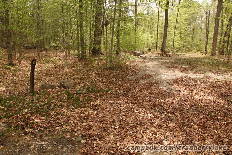 Campsite Photo of Site 75 at Cranberry Lake Campground, New York - Looking at Site from Road Sign Visible