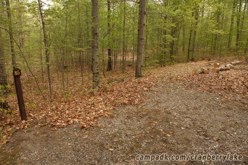 Campsite Photo of Site 85 at Cranberry Lake Campground, New York - Looking at Site from Road Sign Visible