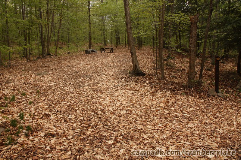 Campsite Photo of Site 90 at Cranberry Lake Campground, New York - Looking at Site from Road Sign Visible