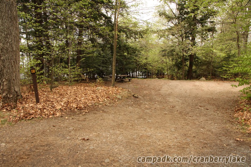 Campsite Photo of Site 110 at Cranberry Lake Campground, New York - Looking at Site from Road Sign Visible