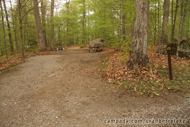 Campsite Photo of Site 125 at Cranberry Lake Campground, New York - Looking at Site from Road Sign Visible