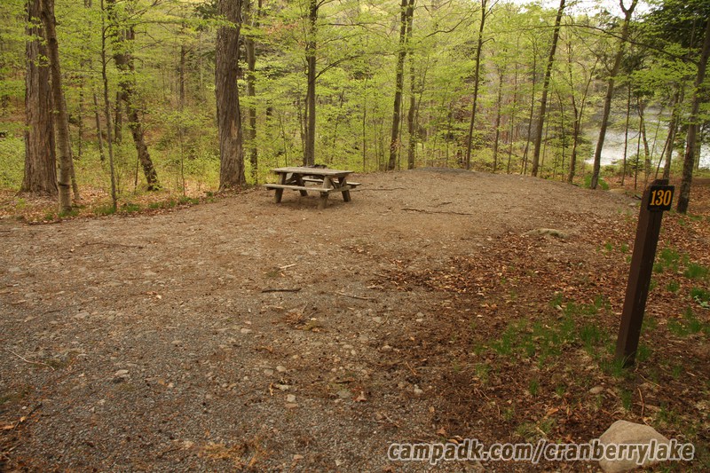 Campsite Photo of Site 130 at Cranberry Lake Campground, New York - Looking at Site from Road Sign Visible