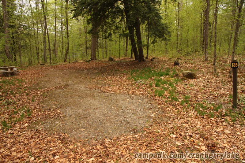 Campsite Photo of Site 135 at Cranberry Lake Campground, New York - Looking at Site from Road Sign Visible