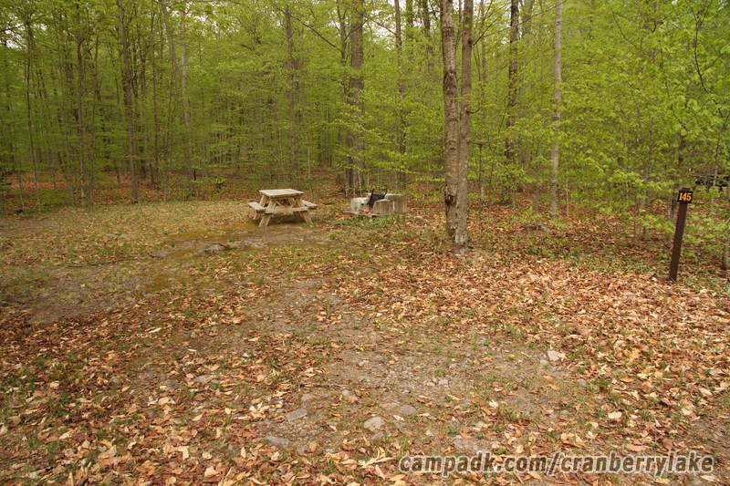 Campsite Photo of Site 145 at Cranberry Lake Campground, New York - Looking at Site from Road Sign Visible