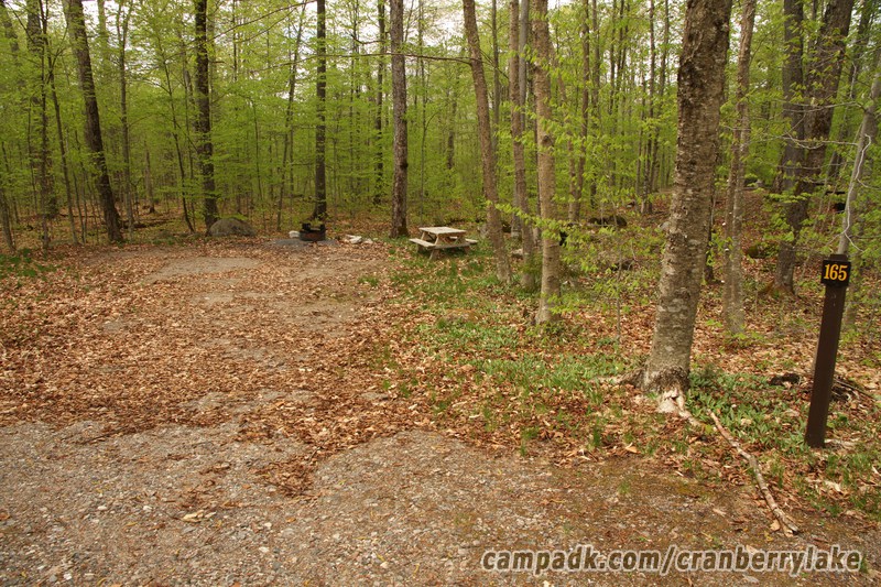 Campsite Photo of Site 165 at Cranberry Lake Campground, New York - Looking at Site from Road Sign Visible