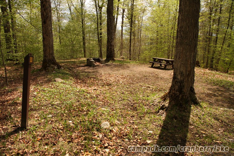 Campsite Photo of Site 11 at Cranberry Lake Campground, New York - Looking at Site from Road Sign Visible