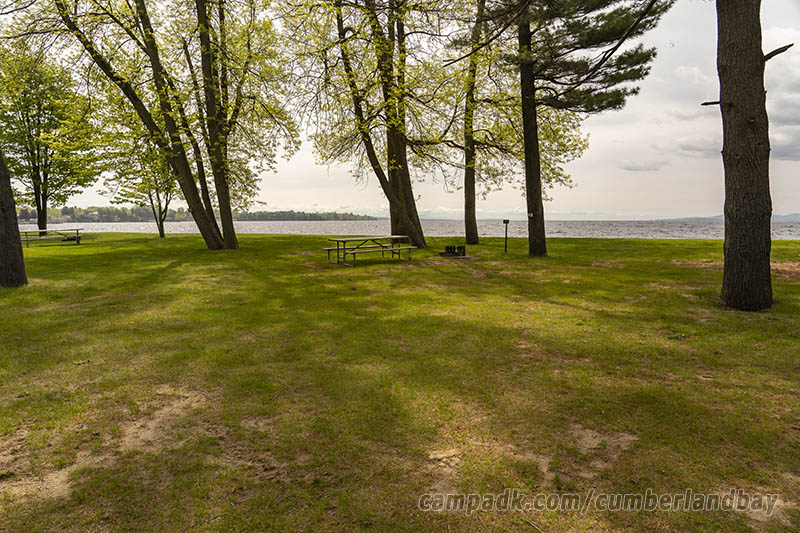 Campsite Photo of Site 46 at Cumberland Bay State Park, New York - Looking at Site from Road Sign Visible