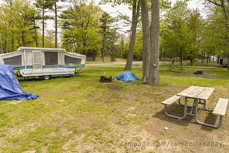 Campsite Photo of Site 84 at Cumberland Bay State Park, New York - Looking at Site from Road Sign Visible