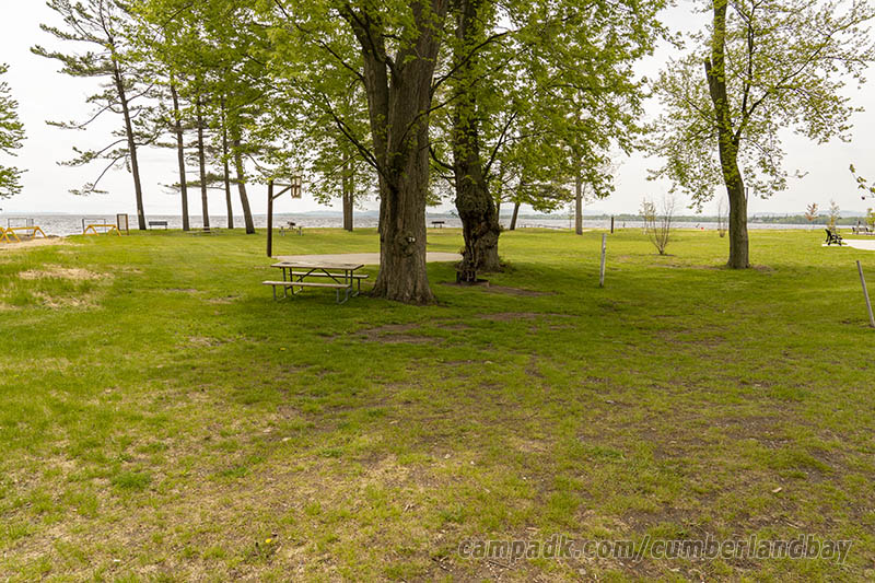 Campsite Photo of Site 79 at Cumberland Bay State Park, New York - Looking at Site from Road Sign Visible