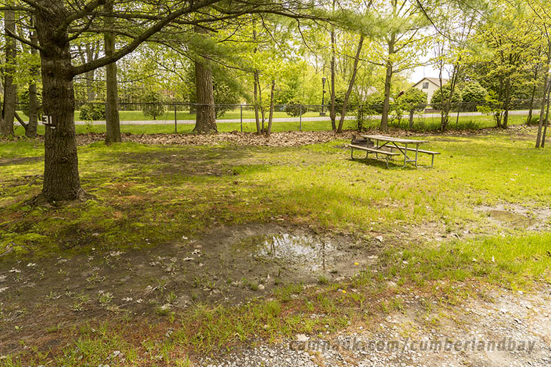 Campsite Photo of Site 31 at Cumberland Bay State Park, New York - Looking at Site from Road Sign Visible