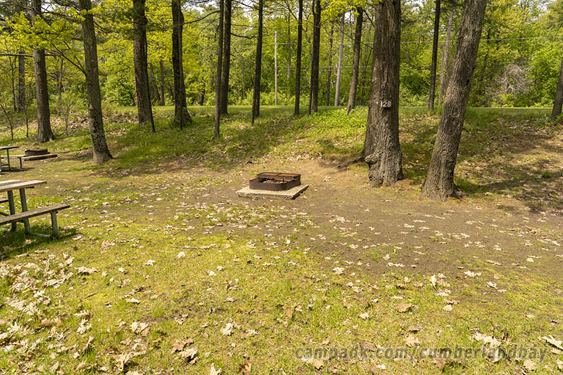 Campsite Photo of Site 128 at Cumberland Bay State Park, New York - Looking at Site from Road Sign Visible