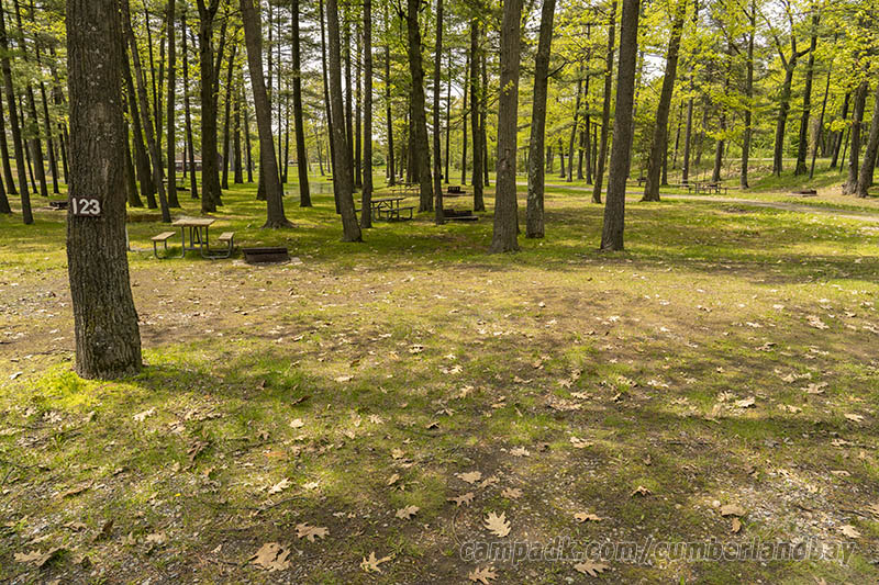 Campsite Photo of Site 123 at Cumberland Bay State Park, New York - Looking at Site from Road Sign Visible