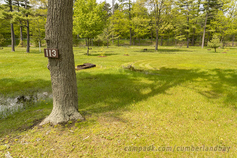 Campsite Photo of Site 113 at Cumberland Bay State Park, New York - Looking at Site from Road Sign Visible