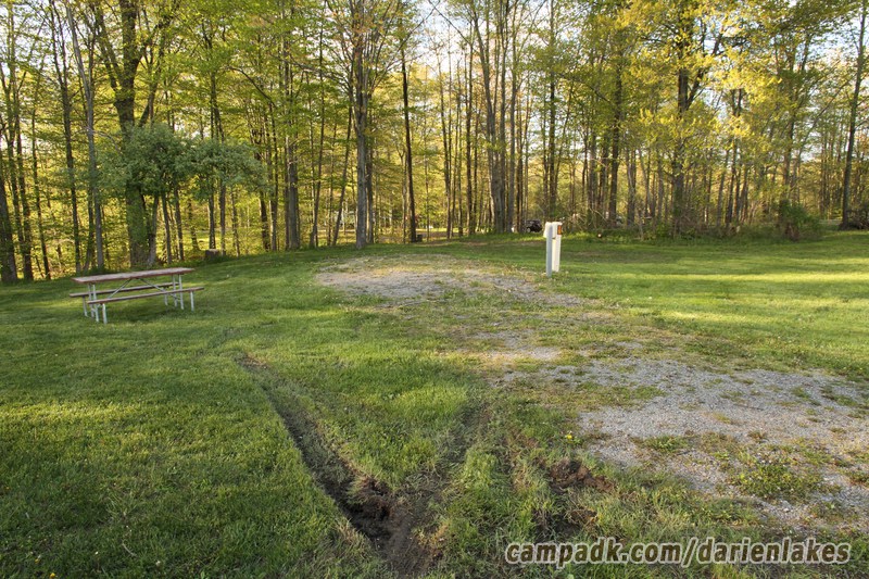 Campsite Photo of Site 15 at Darien Lakes State Park, New York - Looking at Site from Road Sign Visible