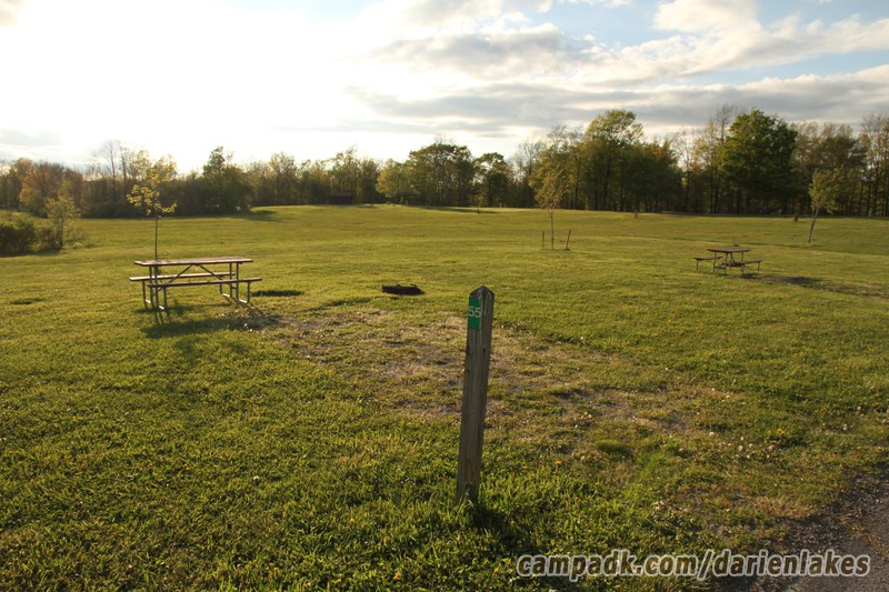 Campsite Photo of Site 55 at Darien Lakes State Park, New York - Looking at Site from Road Sign Visible