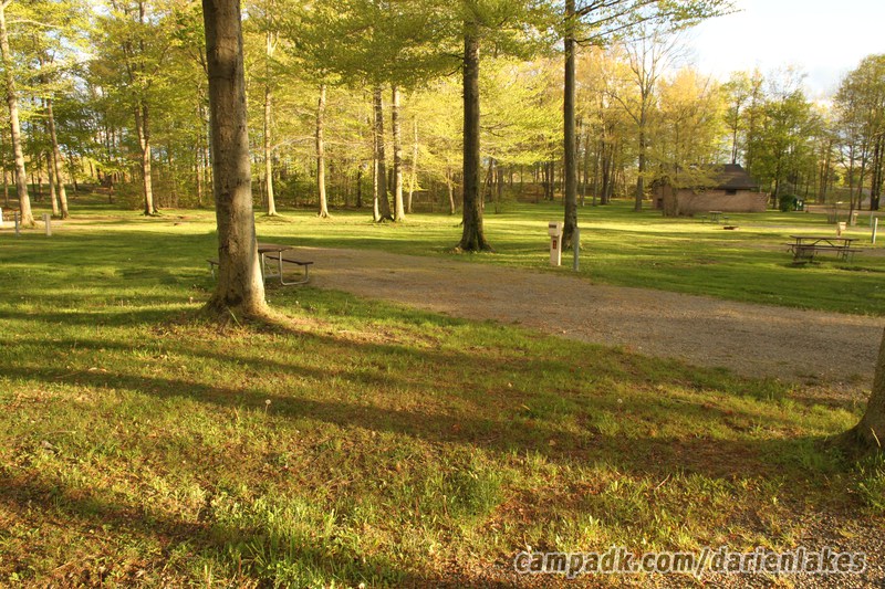 Campsite Photo of Site 40 at Darien Lakes State Park, New York - Looking at Site from Road Sign Visible