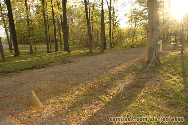 Campsite Photo of Site 35 at Darien Lakes State Park, New York - Looking at Site from Road Sign Visible