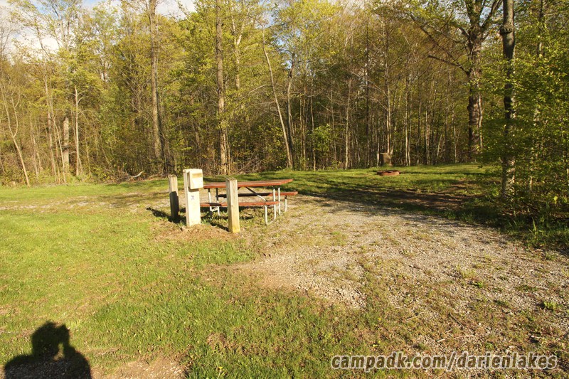 Campsite Photo of Site 71 at Darien Lakes State Park, New York - Looking at Site from Road Sign Visible