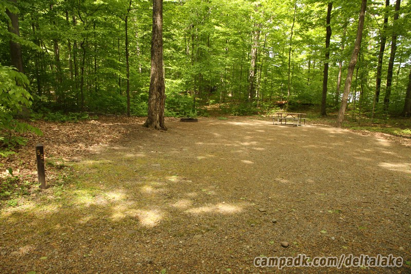 Campsite Photo of Site 55 at Delta Lake State Park, New York - Looking at Site from Road Sign Visible
