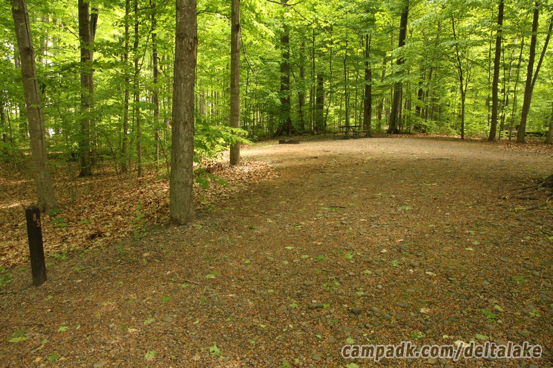 Campsite Photo of Site 85 at Delta Lake State Park, New York - Looking at Site from Road Sign Visible