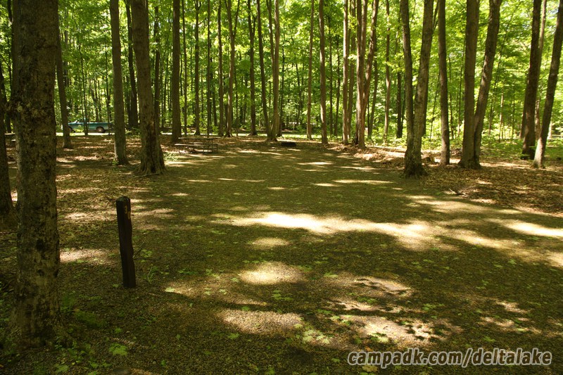 Campsite Photo of Site 30 at Delta Lake State Park, New York - Looking at Site from Road Sign Visible