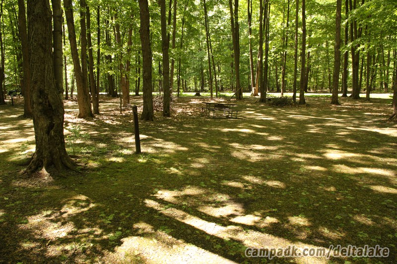 Campsite Photo of Site 35 at Delta Lake State Park, New York - Looking at Site from Road Sign Visible