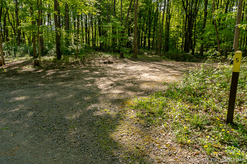 Campsite Photo of Site 5 at Delta Lake State Park, New York - Looking at Site from Road Sign Visible
