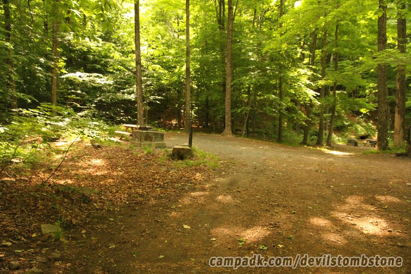 Campsite Photo of Site 5 at Devils Tombstone Campground, New York - Looking at Site from Road Sign Visible