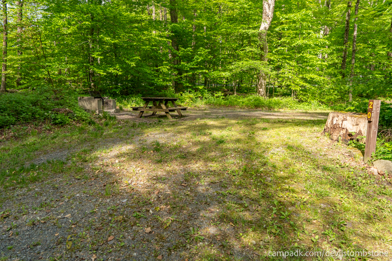Campsite Photo of Site 20 at Devils Tombstone Campground, New York - Looking at Site from Road Sign Visible