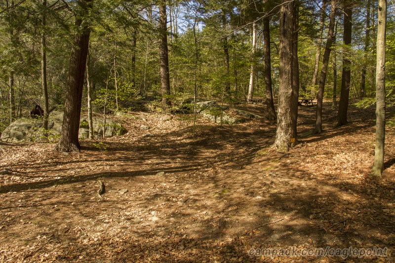 Campsite Photo of Site 70 at Eagle Point Campground, New York - Looking at Site from Road Sign Visible