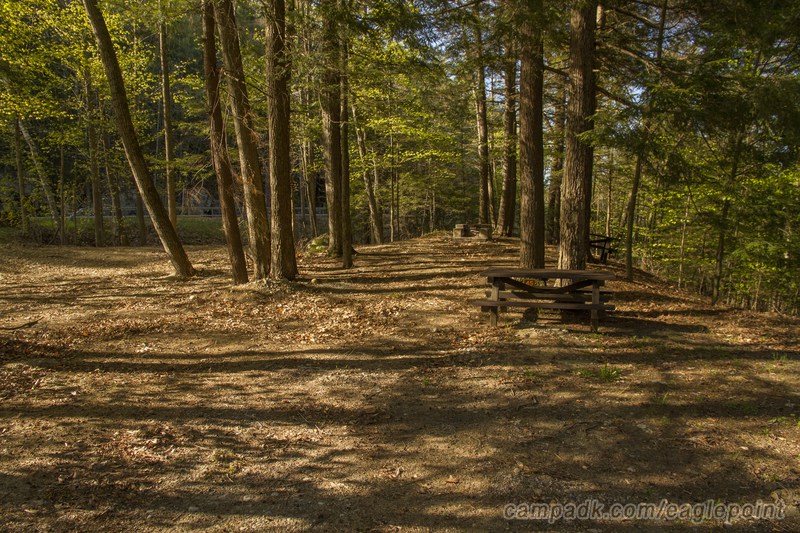 Campsite Photo of Site 45 at Eagle Point Campground, New York - Looking at Site from Road Sign Visible
