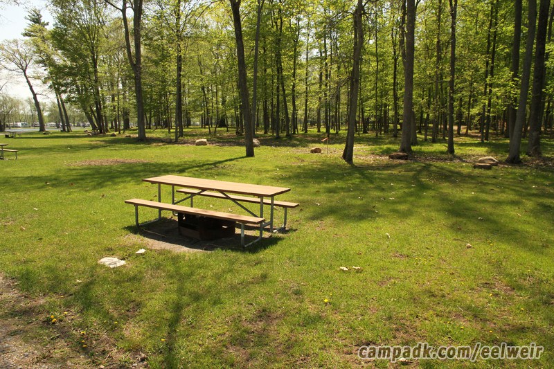 Campsite Photo of Site 20 at Eel Weir State Park, New York - Looking at Site from Road Sign Visible