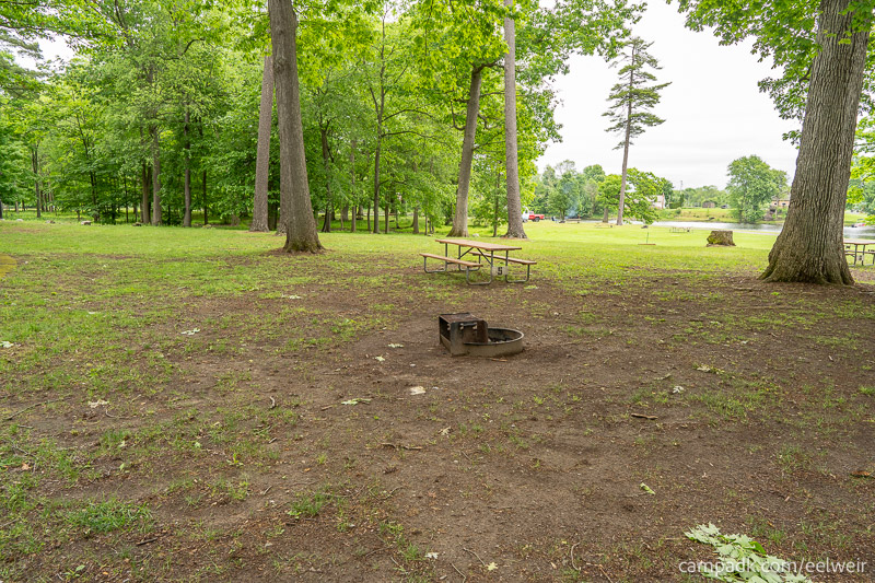 Campsite Photo of Site 5 at Eel Weir State Park, New York - Looking at Site from Road Sign Visible