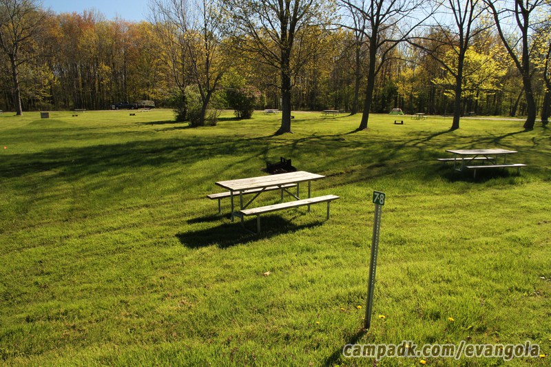 Campsite Photo of Site 78 at Evangola State Park, New York - Looking at Site from Road Sign Visible