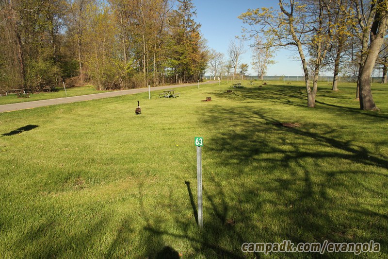 Campsite Photo of Site 63 at Evangola State Park, New York - Looking at Site from Road Sign Visible